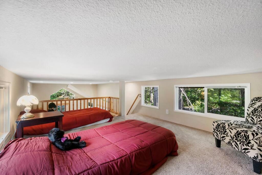 New Tiny Home Steps Away From Mt. Rainier Ashford Εξωτερικό φωτογραφία