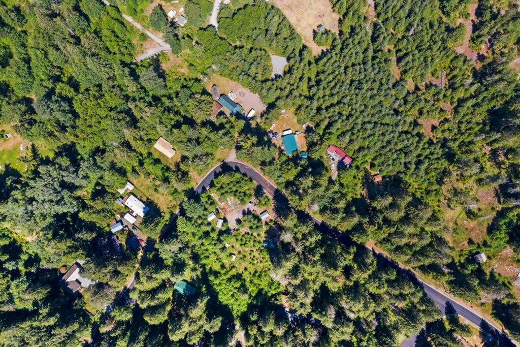 New Tiny Home Steps Away From Mt. Rainier Ashford Εξωτερικό φωτογραφία