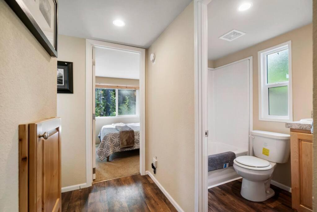 New Tiny Home Steps Away From Mt. Rainier Ashford Εξωτερικό φωτογραφία